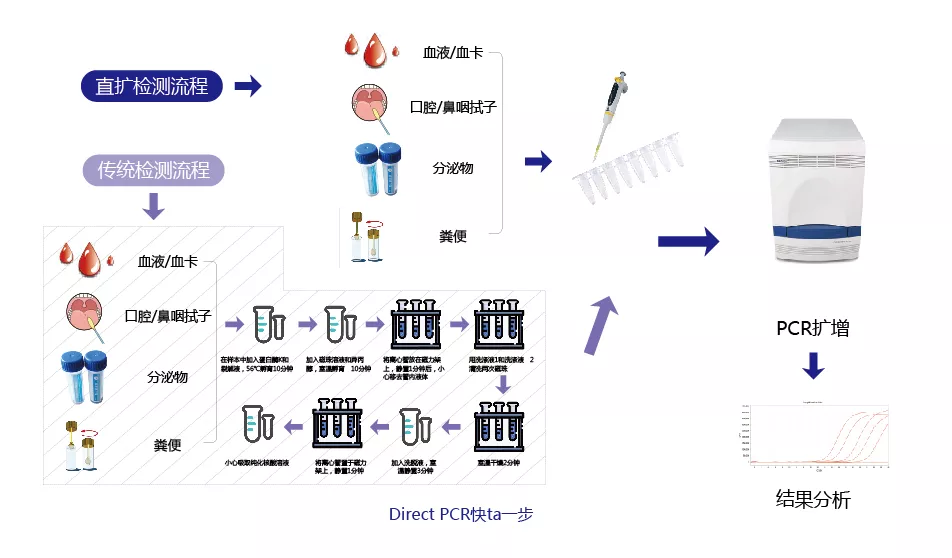 Human APOE and SLCO1B1 Gene Detection Kit